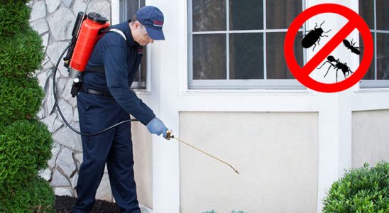 Karamanlı Gümüşkurt İlaçlama böcek ilaçlama ve haşere kontrolü — ilaclama-tr.com